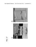 BACILLUS BASED DELIVERY SYSTEM AND METHODS OF USE diagram and image