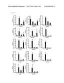 Culture Medium And Method For Inducing Differentiation of Pluripotent Stem     Cells To Hepatoblasts diagram and image