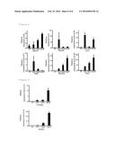 Culture Medium And Method For Inducing Differentiation of Pluripotent Stem     Cells To Hepatoblasts diagram and image