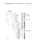 ADENOVIRAL ASSEMBLY METHOD diagram and image