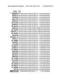 ADENOVIRAL ASSEMBLY METHOD diagram and image