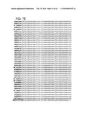 ADENOVIRAL ASSEMBLY METHOD diagram and image