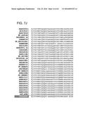 ADENOVIRAL ASSEMBLY METHOD diagram and image