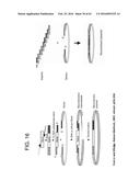 ADENOVIRAL ASSEMBLY METHOD diagram and image