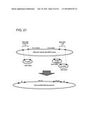 ADENOVIRAL ASSEMBLY METHOD diagram and image