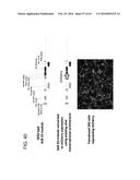 ADENOVIRAL ASSEMBLY METHOD diagram and image