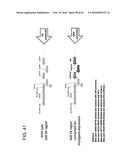 ADENOVIRAL ASSEMBLY METHOD diagram and image