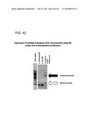 ADENOVIRAL ASSEMBLY METHOD diagram and image