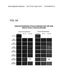 ADENOVIRAL ASSEMBLY METHOD diagram and image