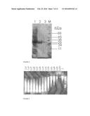 THERMOSTABLE NUCLEASE diagram and image