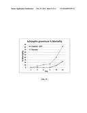 DOUBLE STRANDED RNA CONSTRUCTS FOR  APHID CONTROL diagram and image