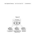 Stabilized Aptamers to Platelet Derived Growth Factor and Their Use as     Oncology Therapeutics diagram and image