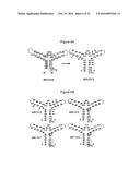 Stabilized Aptamers to Platelet Derived Growth Factor and Their Use as     Oncology Therapeutics diagram and image