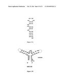 Stabilized Aptamers to Platelet Derived Growth Factor and Their Use as     Oncology Therapeutics diagram and image