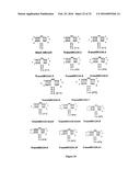 Stabilized Aptamers to Platelet Derived Growth Factor and Their Use as     Oncology Therapeutics diagram and image