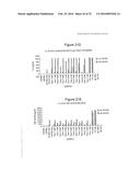 Stabilized Aptamers to Platelet Derived Growth Factor and Their Use as     Oncology Therapeutics diagram and image