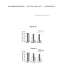 Stabilized Aptamers to Platelet Derived Growth Factor and Their Use as     Oncology Therapeutics diagram and image