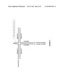 MULTI-TARGETS INTERFERING RNA MOLECULES AND THEIR APPLICATIONS diagram and image