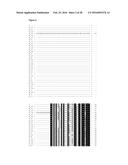 PLANTS HAVING ENHANCED YIELD-RELATED TRAITS AND METHOD FOR MAKING SAME diagram and image