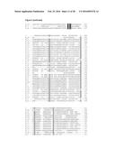 PLANTS HAVING ENHANCED YIELD-RELATED TRAITS AND METHOD FOR MAKING SAME diagram and image