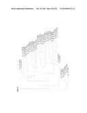 PLANTS HAVING ENHANCED YIELD-RELATED TRAITS AND METHOD FOR MAKING SAME diagram and image