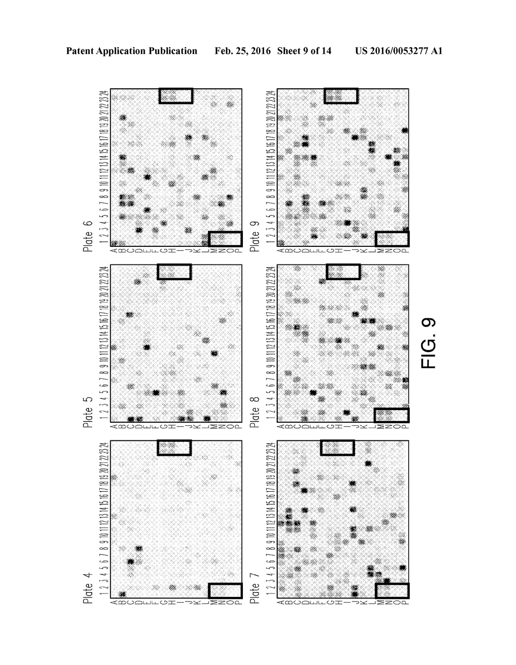 Compositions Having Dicamba Decarboxylase Activity and Methods of Use - diagram, schematic, and image 10