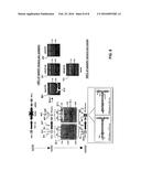 Self-Complementary Parvoviral Vectors, and Methods for Making and Using     the Same diagram and image