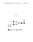 GALACTOSE-ALPHA-1, 3-GALACTOSE-CONTAINING N-GLYCANS IN GLYCOPROTEIN     PRODUCTS DERIVED FROM CHO CELLS diagram and image