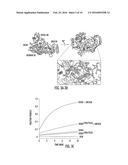 METHODS FOR IDENTIFYING PROTEINS AND COMPOUNDS THAT MODULATE THE ACTIVITY     OF OTUB1 diagram and image