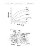 METHODS FOR IDENTIFYING PROTEINS AND COMPOUNDS THAT MODULATE THE ACTIVITY     OF OTUB1 diagram and image