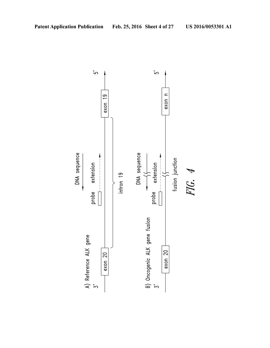 METHODS FOR QUANTITATIVE GENETIC ANALYSIS OF CELL FREE DNA - diagram, schematic, and image 05