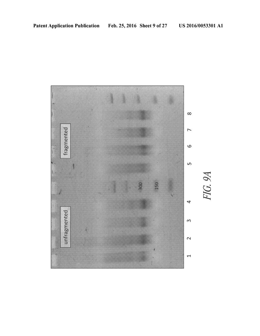 METHODS FOR QUANTITATIVE GENETIC ANALYSIS OF CELL FREE DNA - diagram, schematic, and image 10