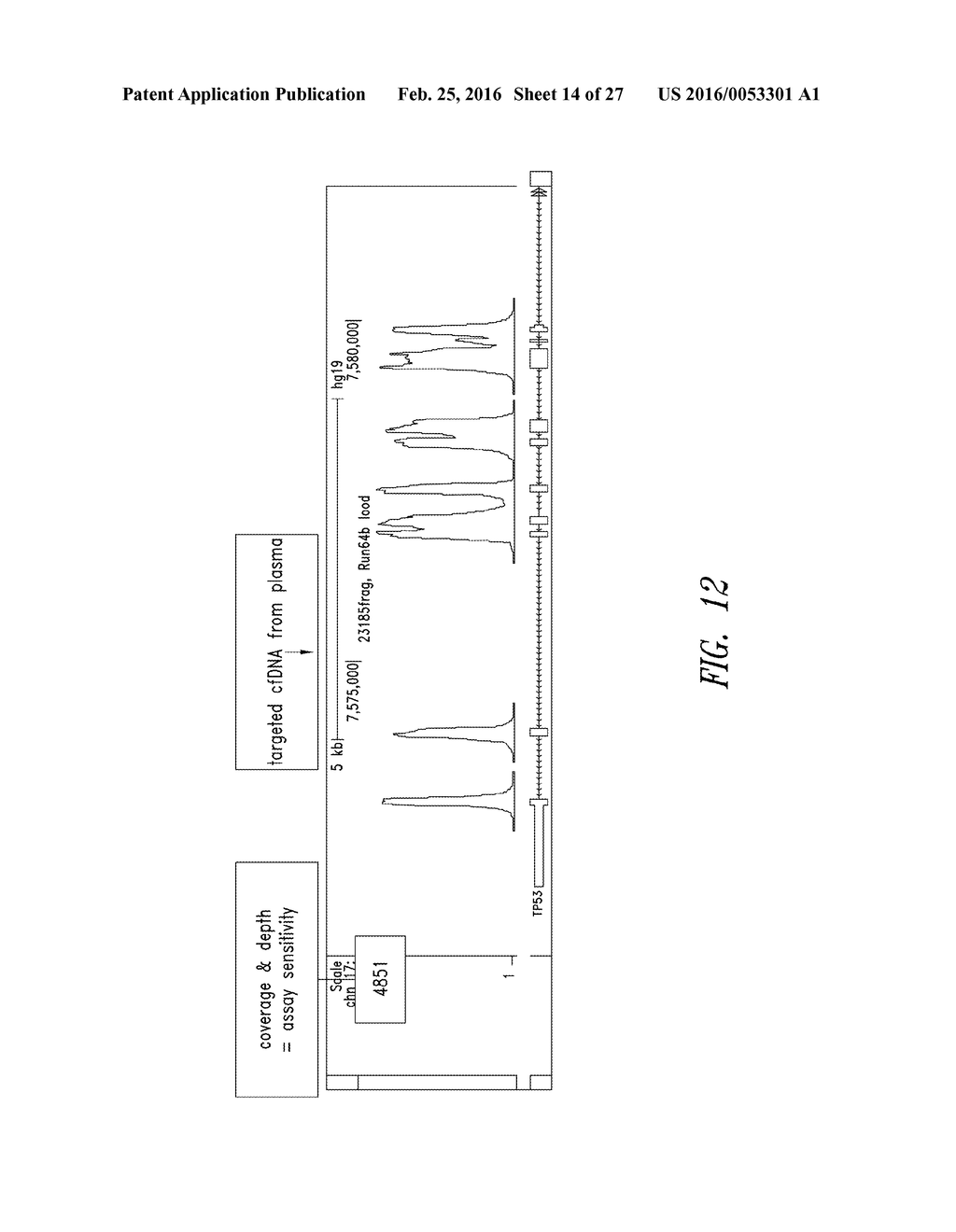 METHODS FOR QUANTITATIVE GENETIC ANALYSIS OF CELL FREE DNA - diagram, schematic, and image 15