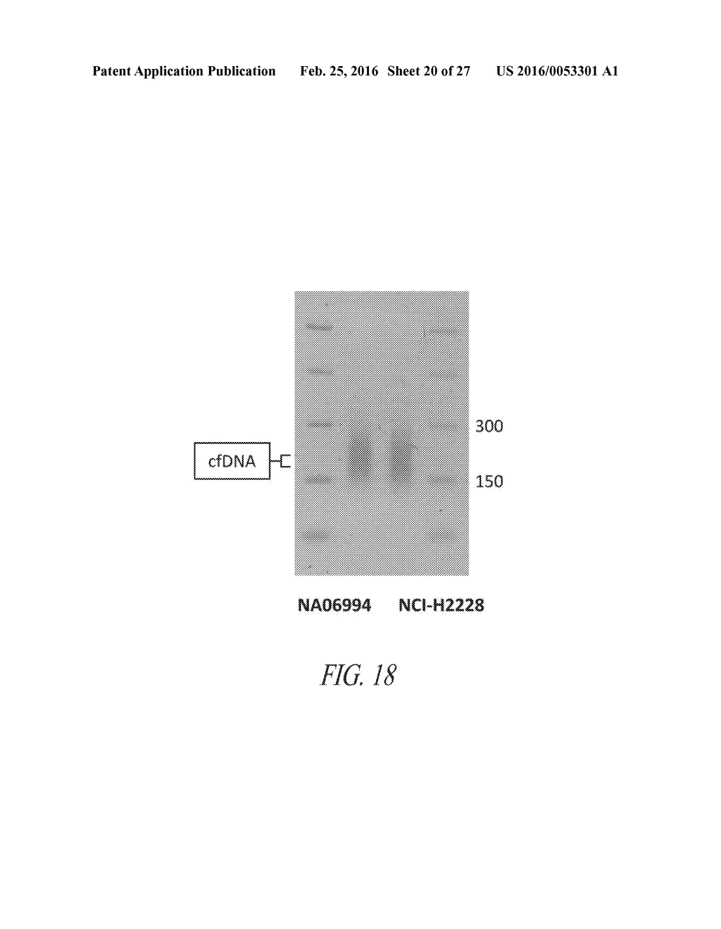 METHODS FOR QUANTITATIVE GENETIC ANALYSIS OF CELL FREE DNA - diagram, schematic, and image 21