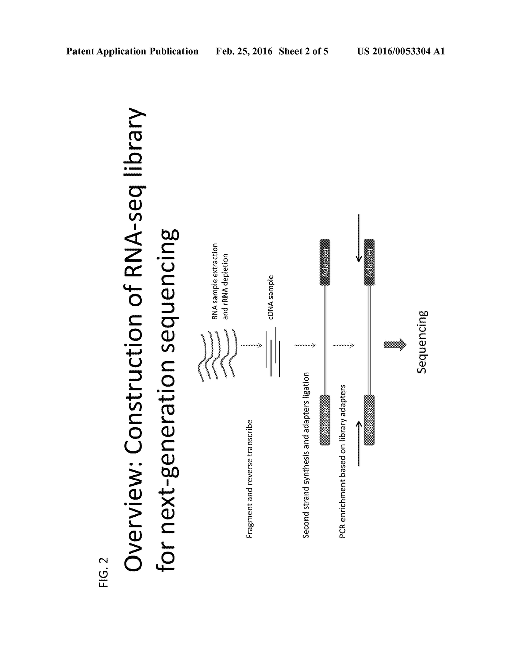 Methods Of Depleting Target Sequences Using CRISPR - diagram, schematic, and image 03