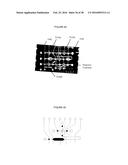 Microfluidic Devices diagram and image