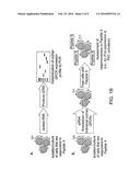 Systems and Methods for Determining a C-Peptide Receptor, C-Peptide     Receptor, and Methods of Using Same diagram and image