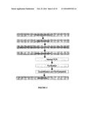 NON-INVASIVE PRENATAL SCREENING diagram and image