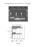 PERSONALIZED BIOMARKERS FOR CANCER diagram and image