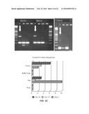 PERSONALIZED BIOMARKERS FOR CANCER diagram and image