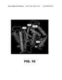 COMPOSITIONS AND METHODS FOR DETECTING CANCER METASTASIS diagram and image