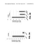 COMPOSITIONS AND METHODS FOR DETECTING CANCER METASTASIS diagram and image