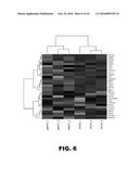 COMPOSITIONS AND METHODS FOR DETECTING CANCER METASTASIS diagram and image