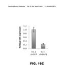 COMPOSITIONS AND METHODS FOR DETECTING CANCER METASTASIS diagram and image