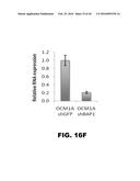 COMPOSITIONS AND METHODS FOR DETECTING CANCER METASTASIS diagram and image