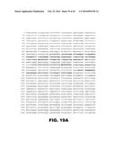 COMPOSITIONS AND METHODS FOR DETECTING CANCER METASTASIS diagram and image