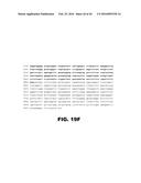 COMPOSITIONS AND METHODS FOR DETECTING CANCER METASTASIS diagram and image