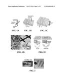 CORE-SHELL NANOFIBER TEXTILES FOR STRAIN SENSING, AND METHODS OF THEIR     MANUFACTURE diagram and image