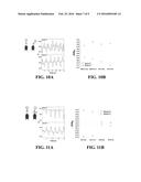 CORE-SHELL NANOFIBER TEXTILES FOR STRAIN SENSING, AND METHODS OF THEIR     MANUFACTURE diagram and image