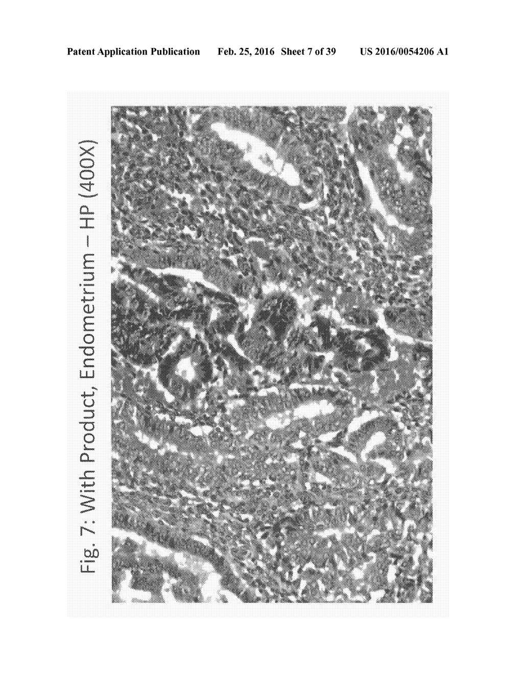 AQUEOUS COMPOSITIONS AND METHODS OF USING THE SAME FORHISTOPATHOLOGICAL     EVALUATION OF TISSUE SAMPLES - diagram, schematic, and image 08